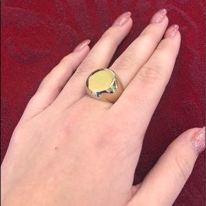 Ann Taylor Size 8 Large Ring